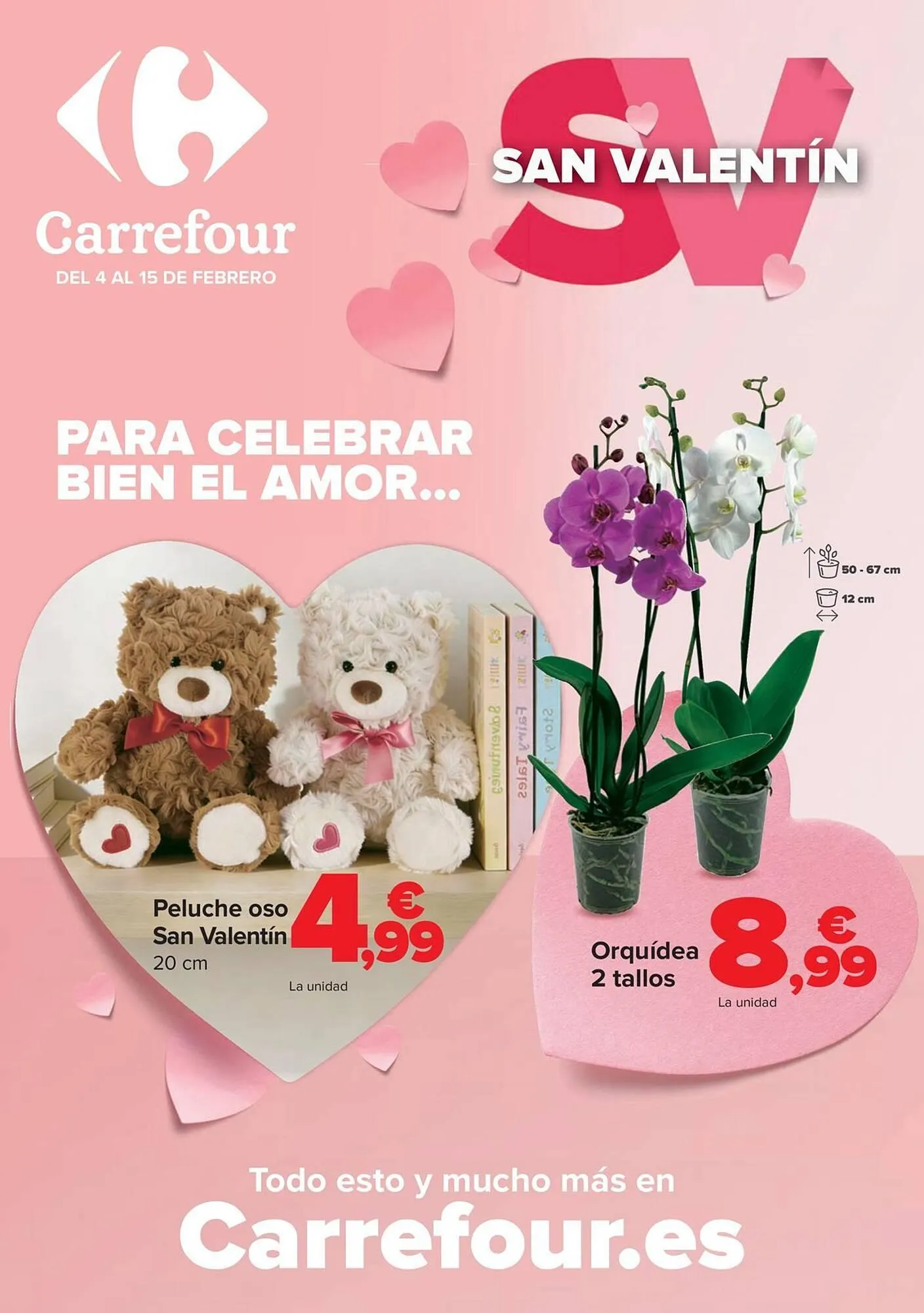 Folleto Carrefour - 1