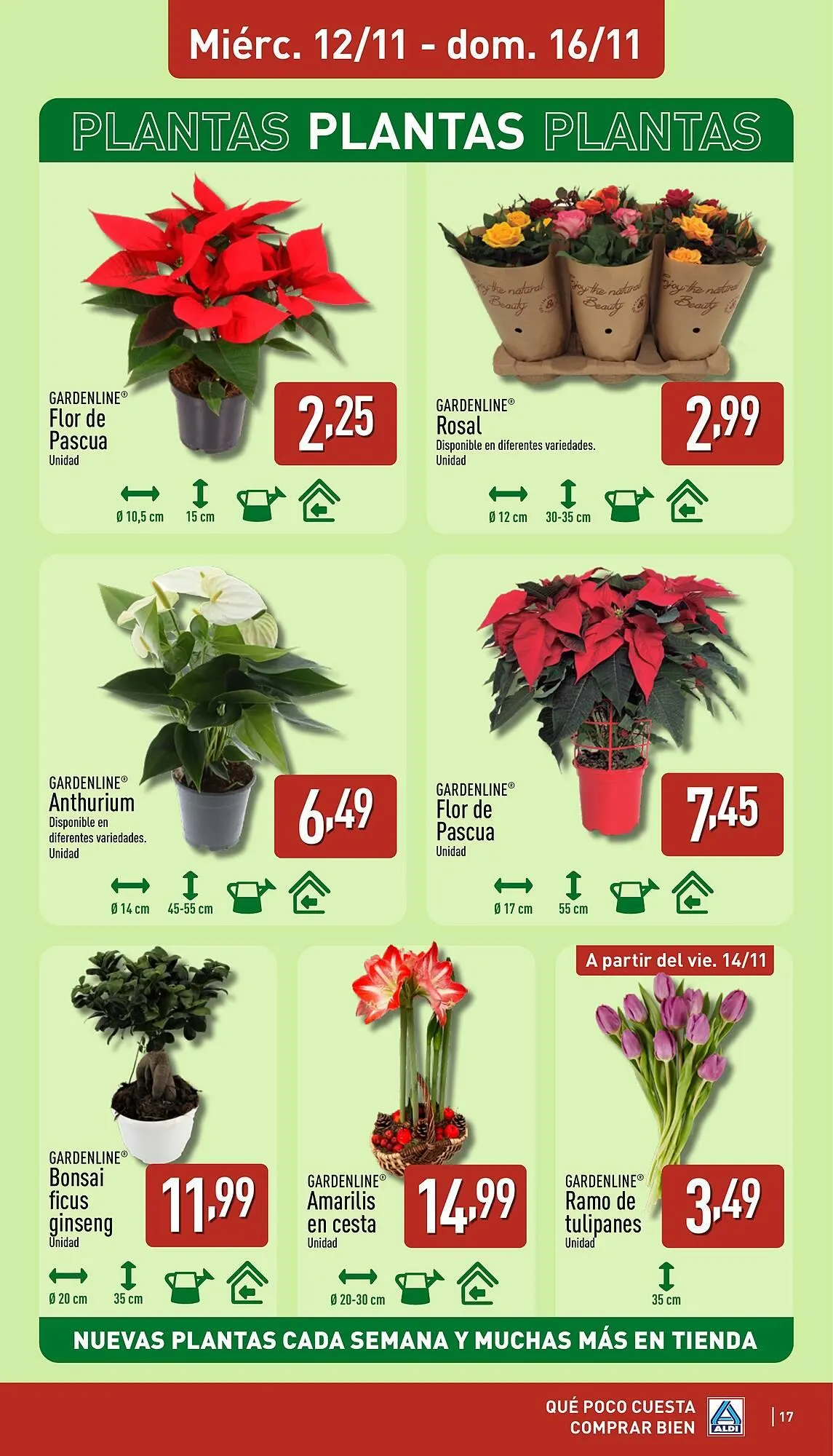 Catálogo de Folleto ALDI 10 de noviembre al 16 de noviembre 2025 - Página 17