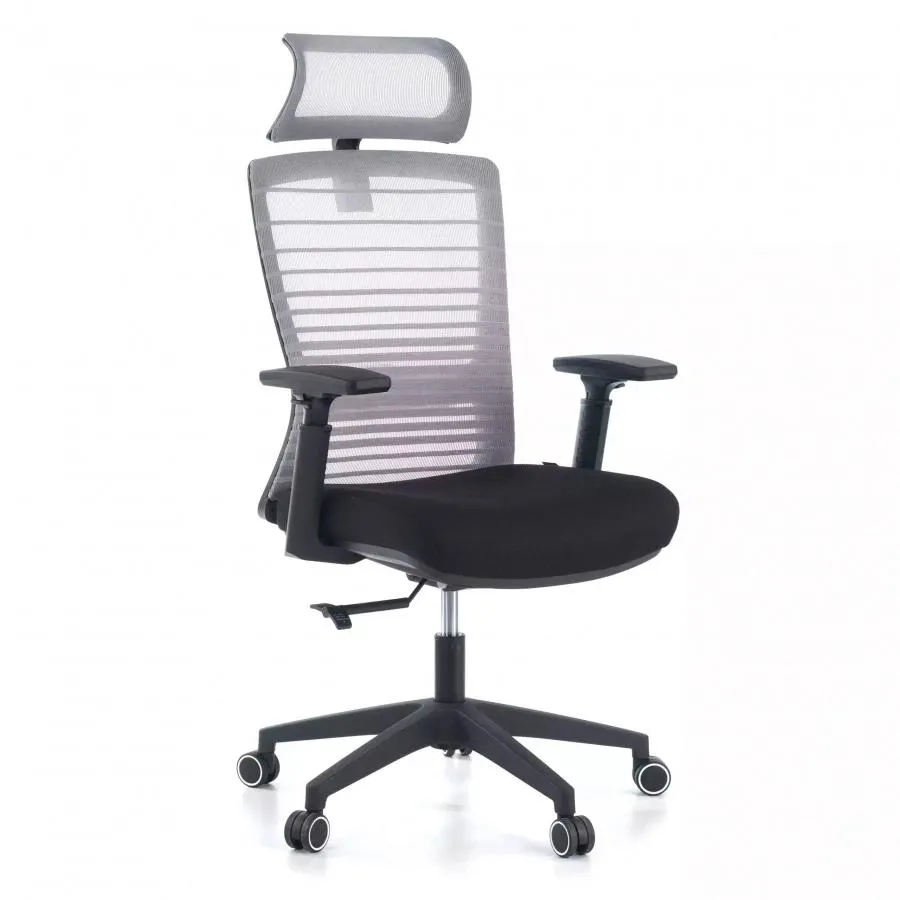 Silla de Escritorio Tesla, reposacabezas, soporte lumbar red - Gris