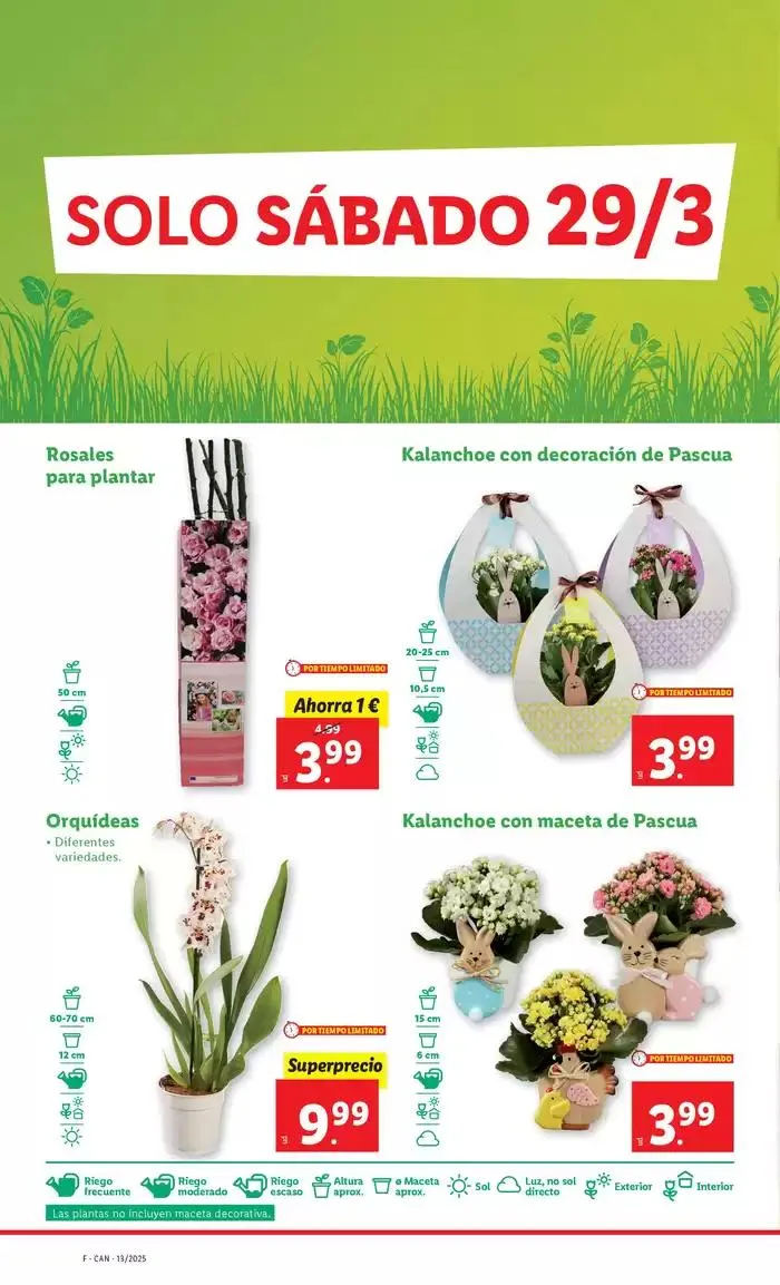 Catálogo de № 1 PRECIO - Ofertas válidas del 24/03 al 30/03 24 de marzo al 30 de marzo 2025 - Página 30