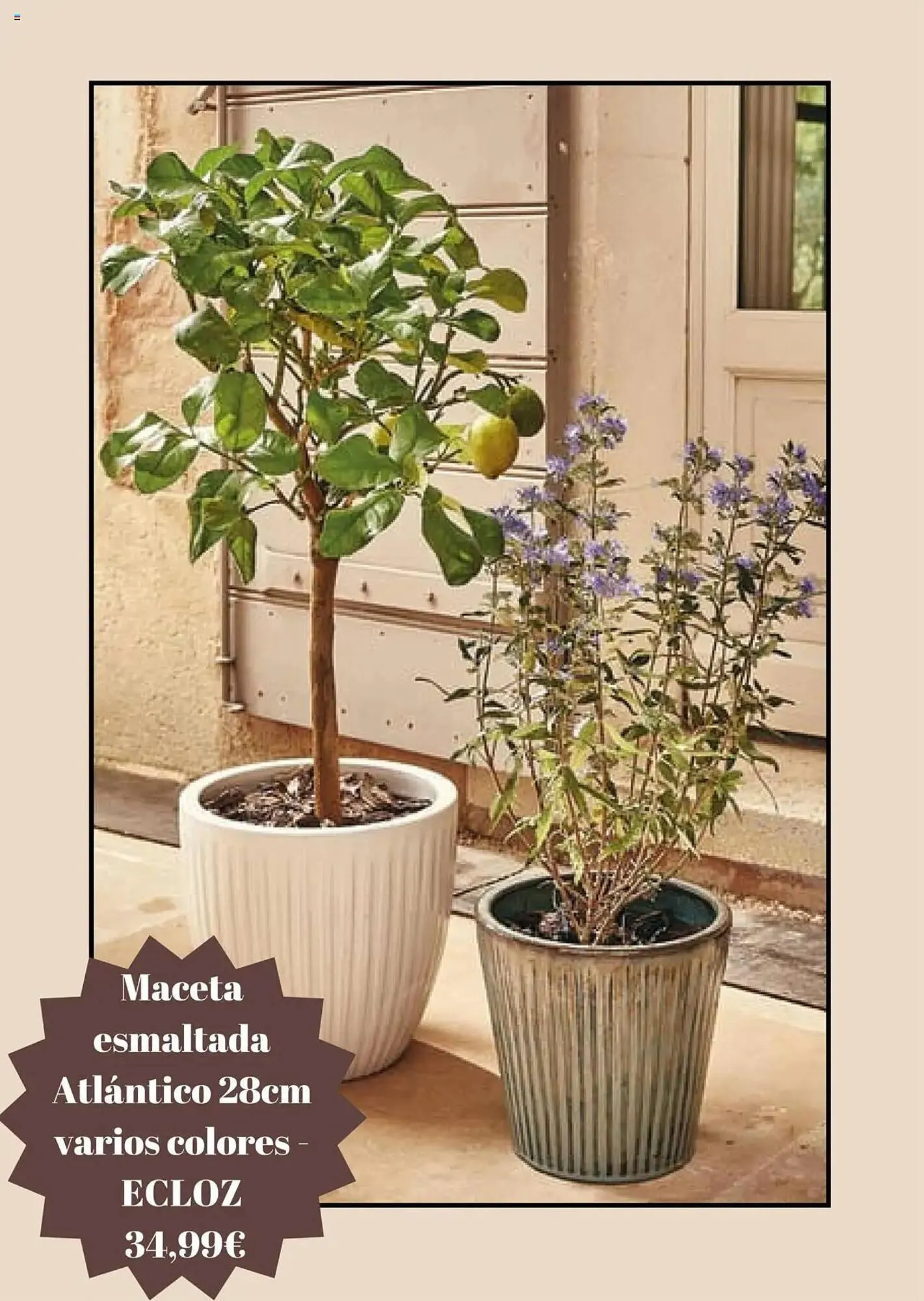 Catálogo de Folleto Jardiland 5 de marzo al 5 de abril 2025 - Página 3