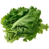 Xeno envasado, manojo 500 g