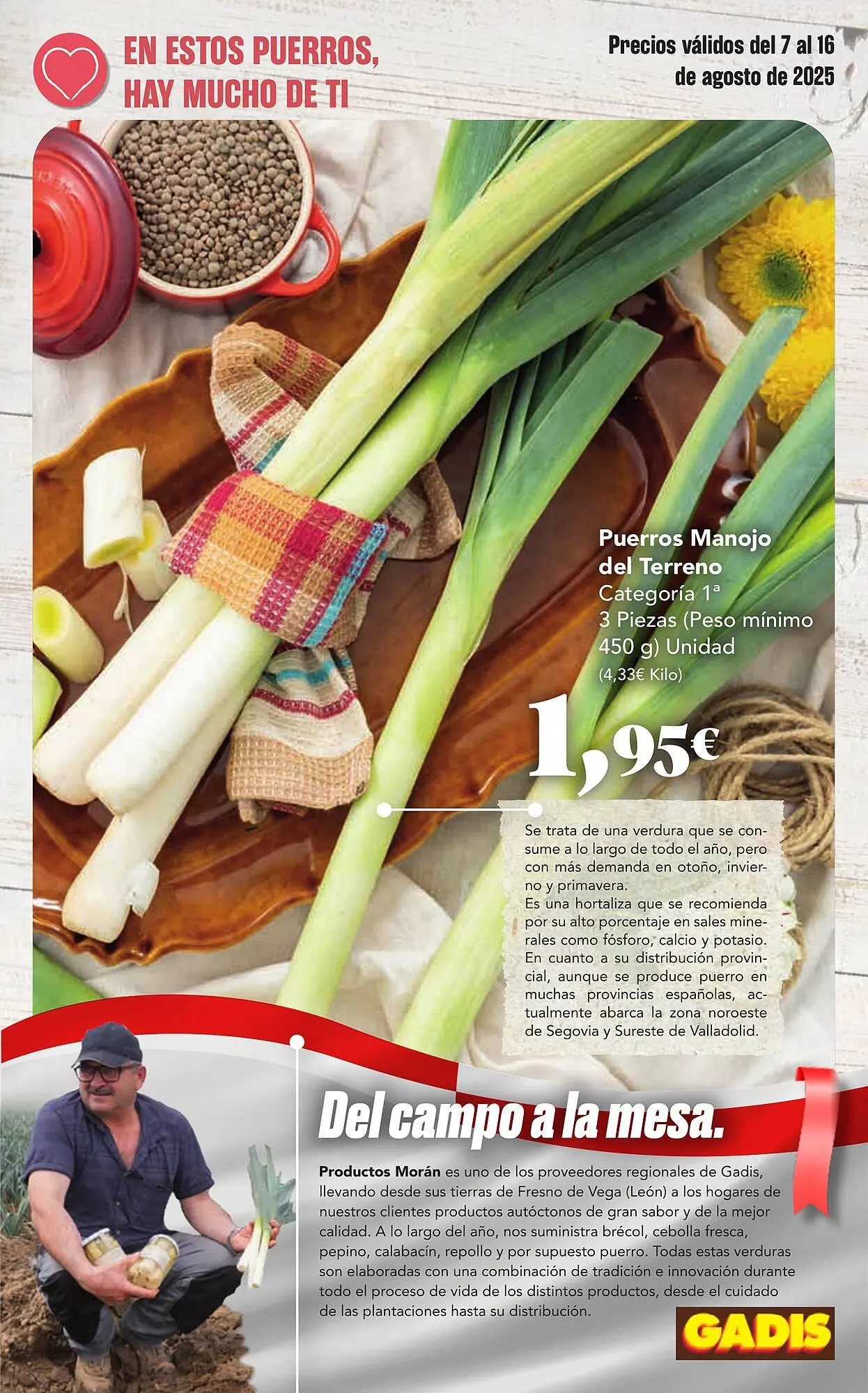 Catálogo de Folleto Gadis 7 de agosto al 16 de agosto 2025 - Página 7