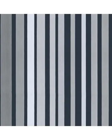 110-9043 CAROUSEL STRIPE