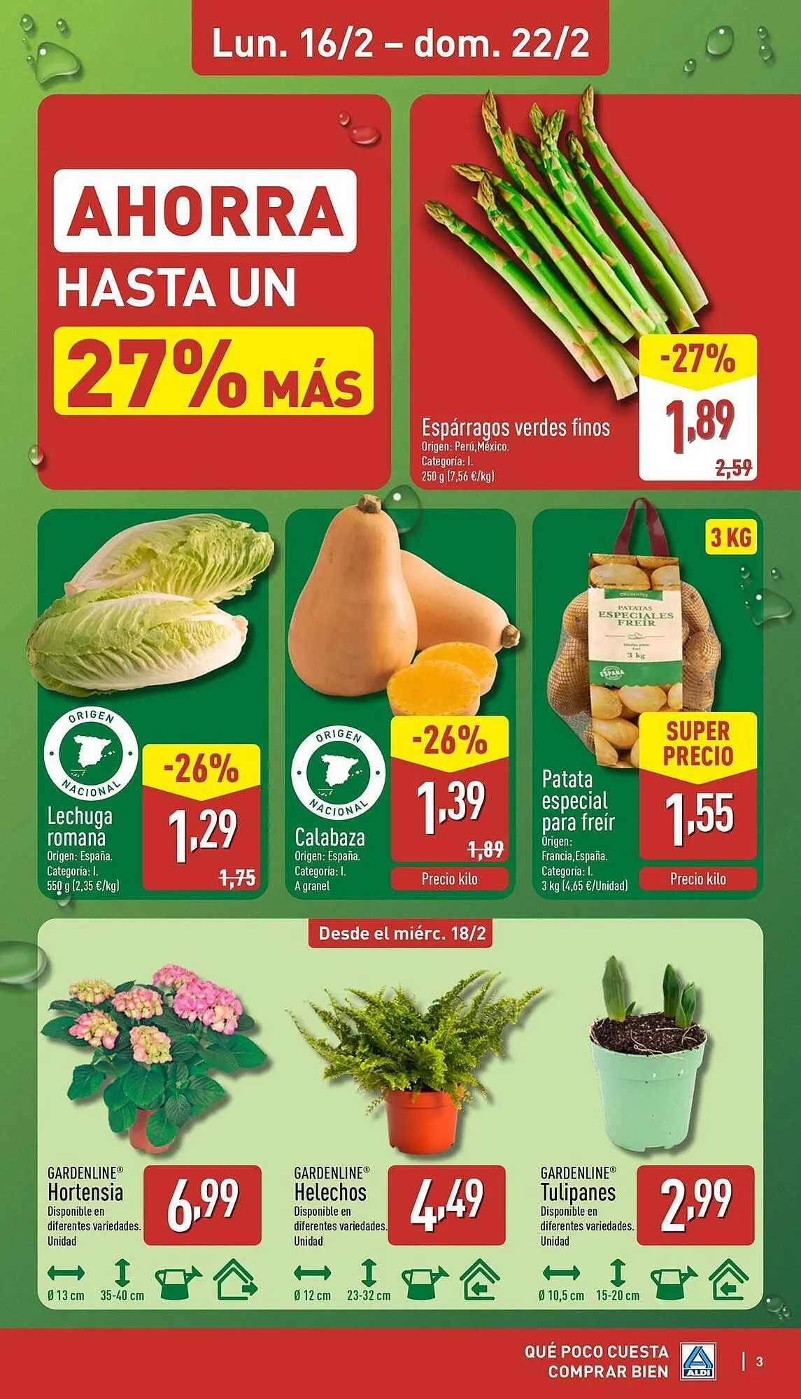 Catálogo de Folleto ALDI 16 de febrero al 22 de febrero 2026 - Página 3