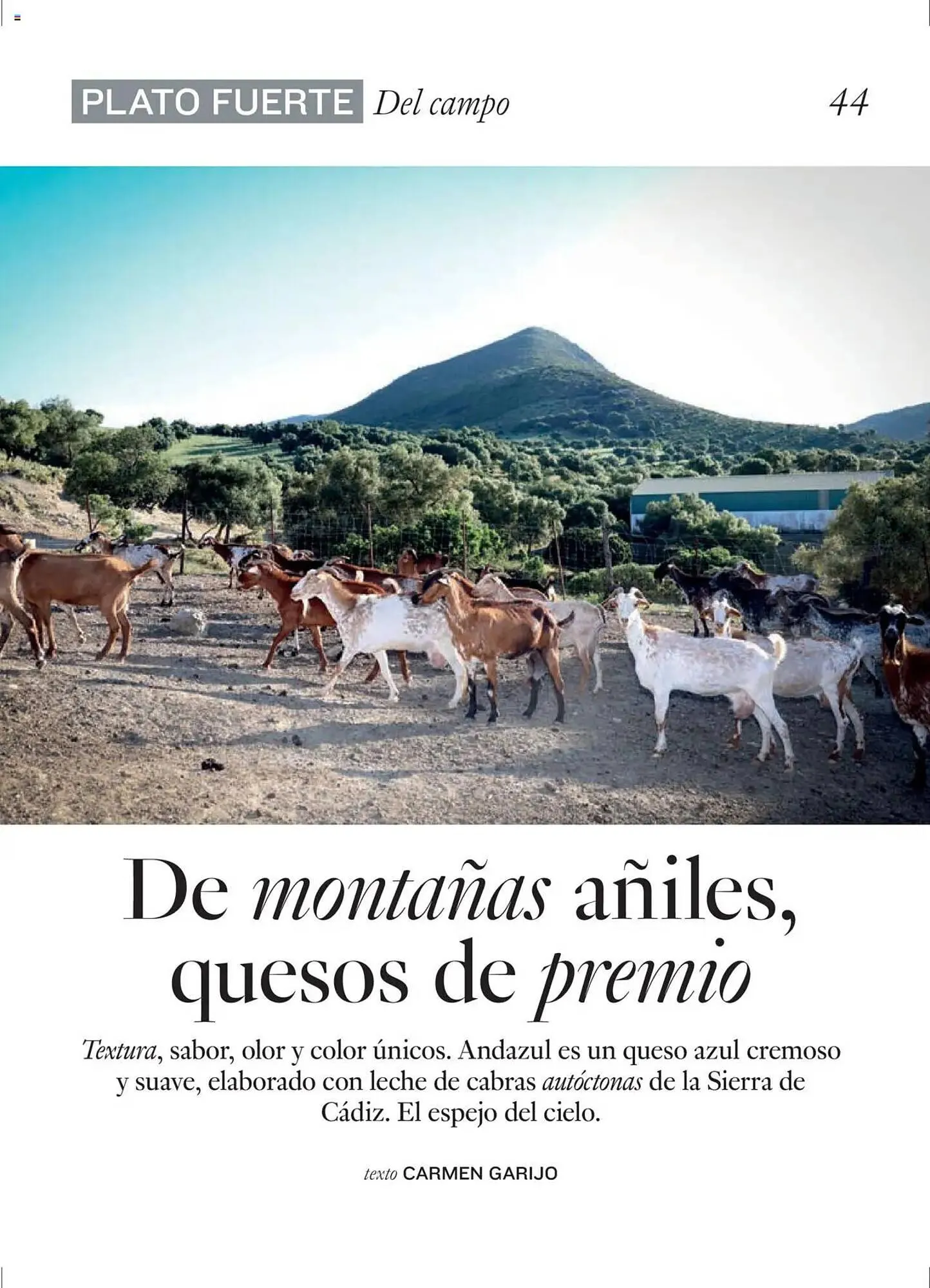 Catálogo de Folleto El Corte Inglés 27 de junio al 31 de agosto 2025 - Página 44