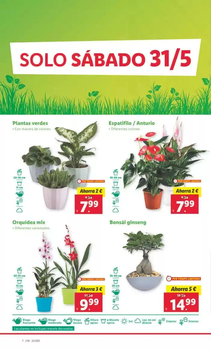 Catálogo de № 1 PRECIO - Ofertas válidas del 26/05 al 01/06 26 de mayo al 1 de junio 2025 - Página 30