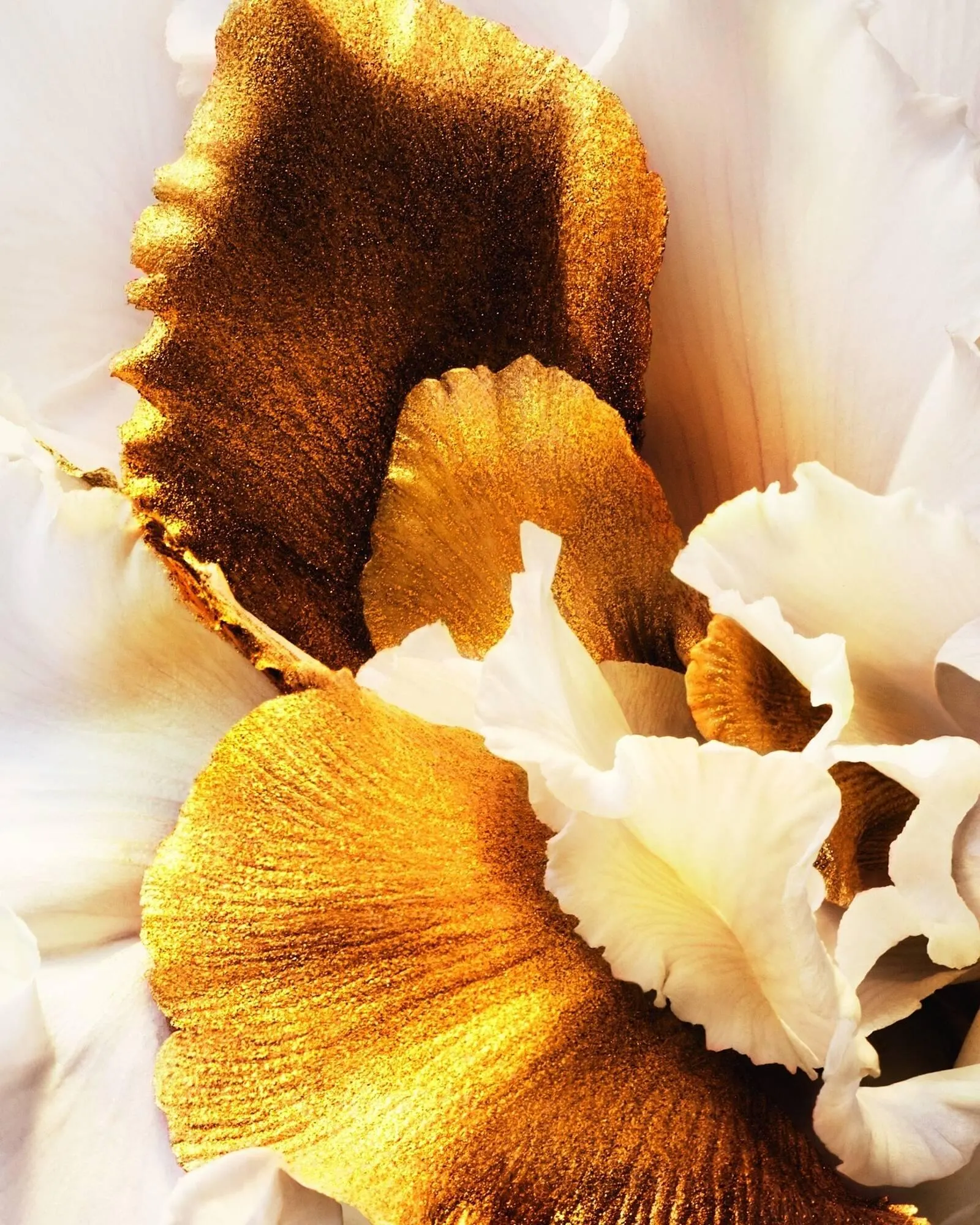 Catálogo de Folleto Dior 19 de marzo al 10 de mayo 2025 - Página 2