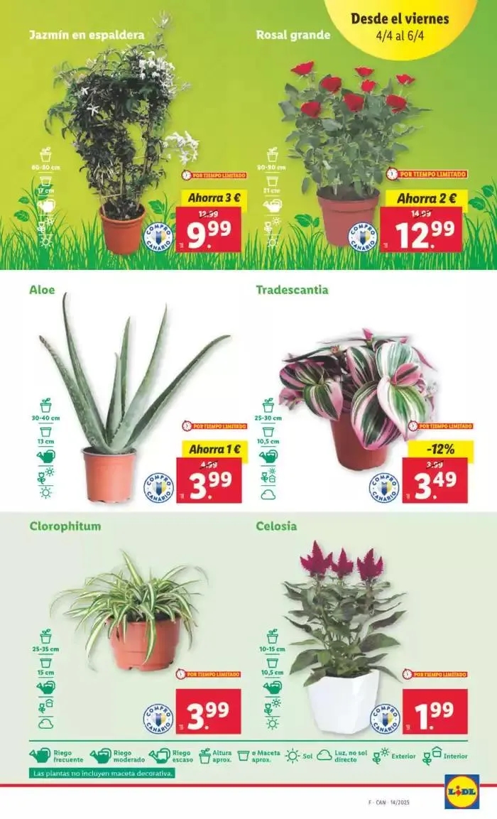 Catálogo de № 1 PRECIO - Ofertas válidas del 31/03 al 06/04 31 de marzo al 6 de abril 2025 - Página 33