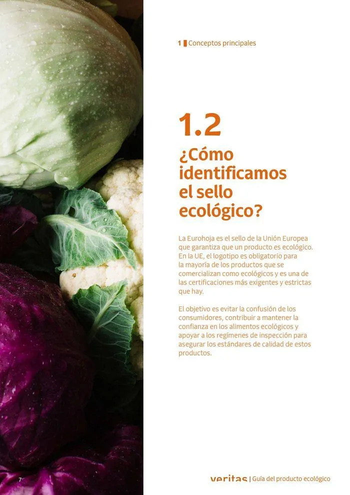 Catálogo de Veritas ABC productos ecológicos 2 de septiembre al 31 de diciembre 2024 - Página 7