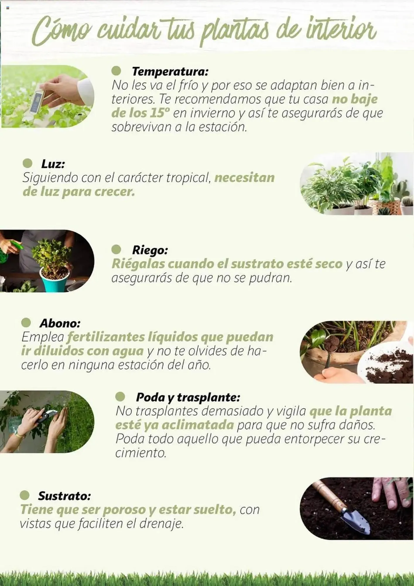 Catálogo de Folleto Alcampo 11 de febrero al 31 de diciembre 2025 - Página 19