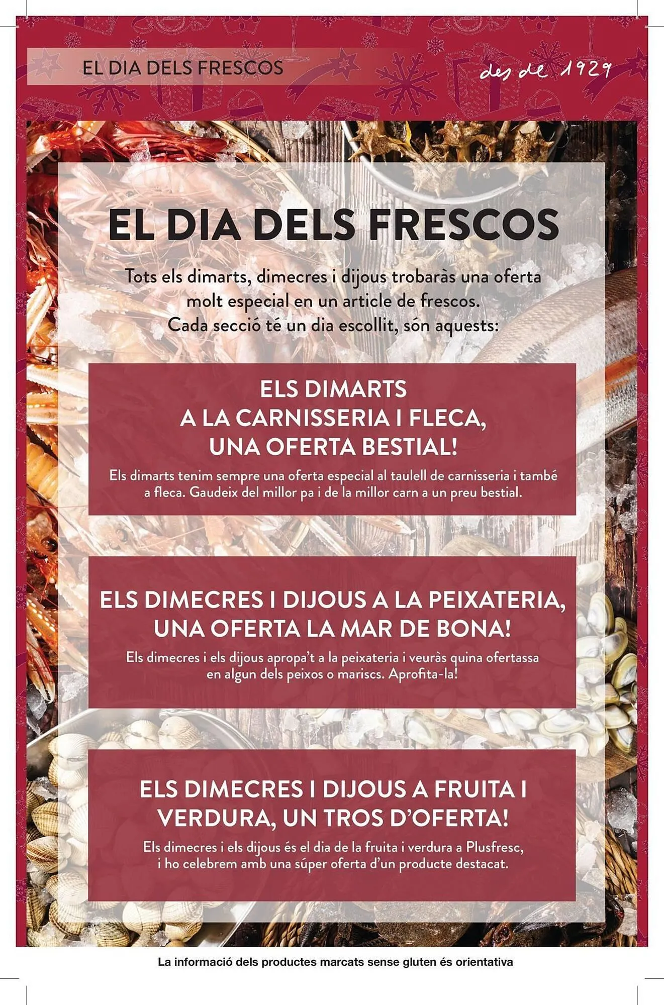 Catálogo de Folleto Plusfresc 16 de diciembre al 29 de diciembre 2025 - Página 13