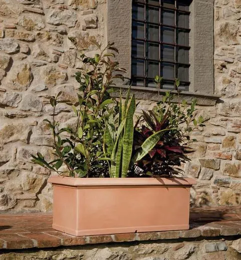 Jardinera rectangular Cassetta Liscia