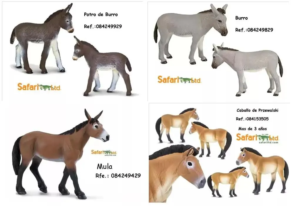 Catálogo de REPRODUCIÓN DE ANIMALES A ESCALA 7 de febrero al 31 de octubre 2025 - Página 14