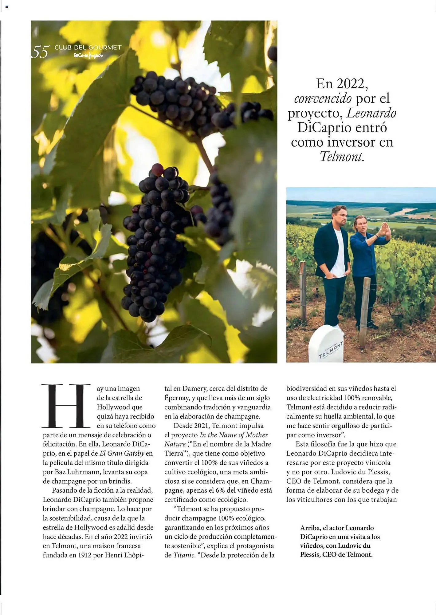 Catálogo de Catálogo El Corte Inglés 11 de diciembre al 31 de marzo 2026 - Página 55