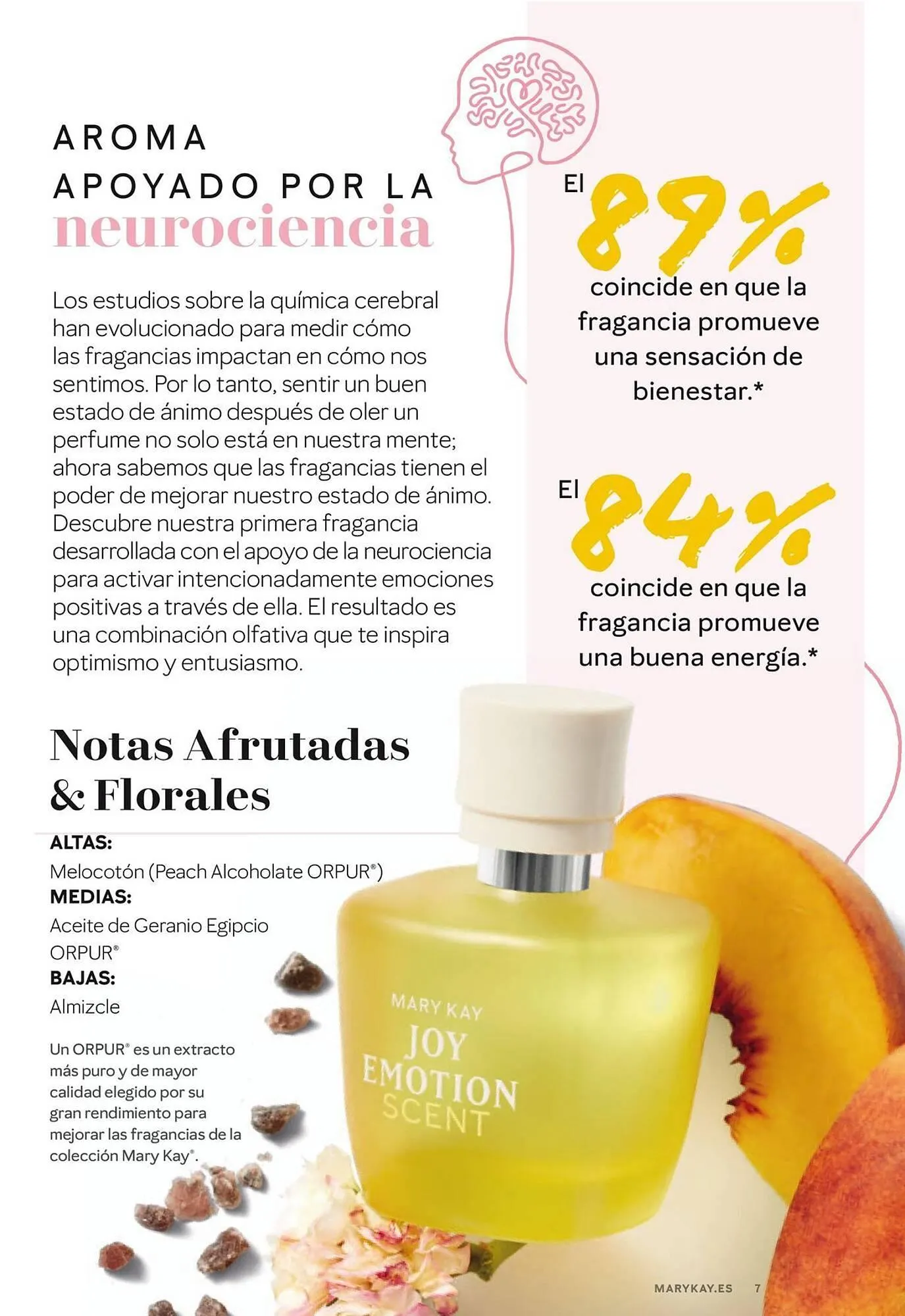 Catálogo de Catálogo Mary Kay 16 de enero al 31 de marzo 2026 - Página 7