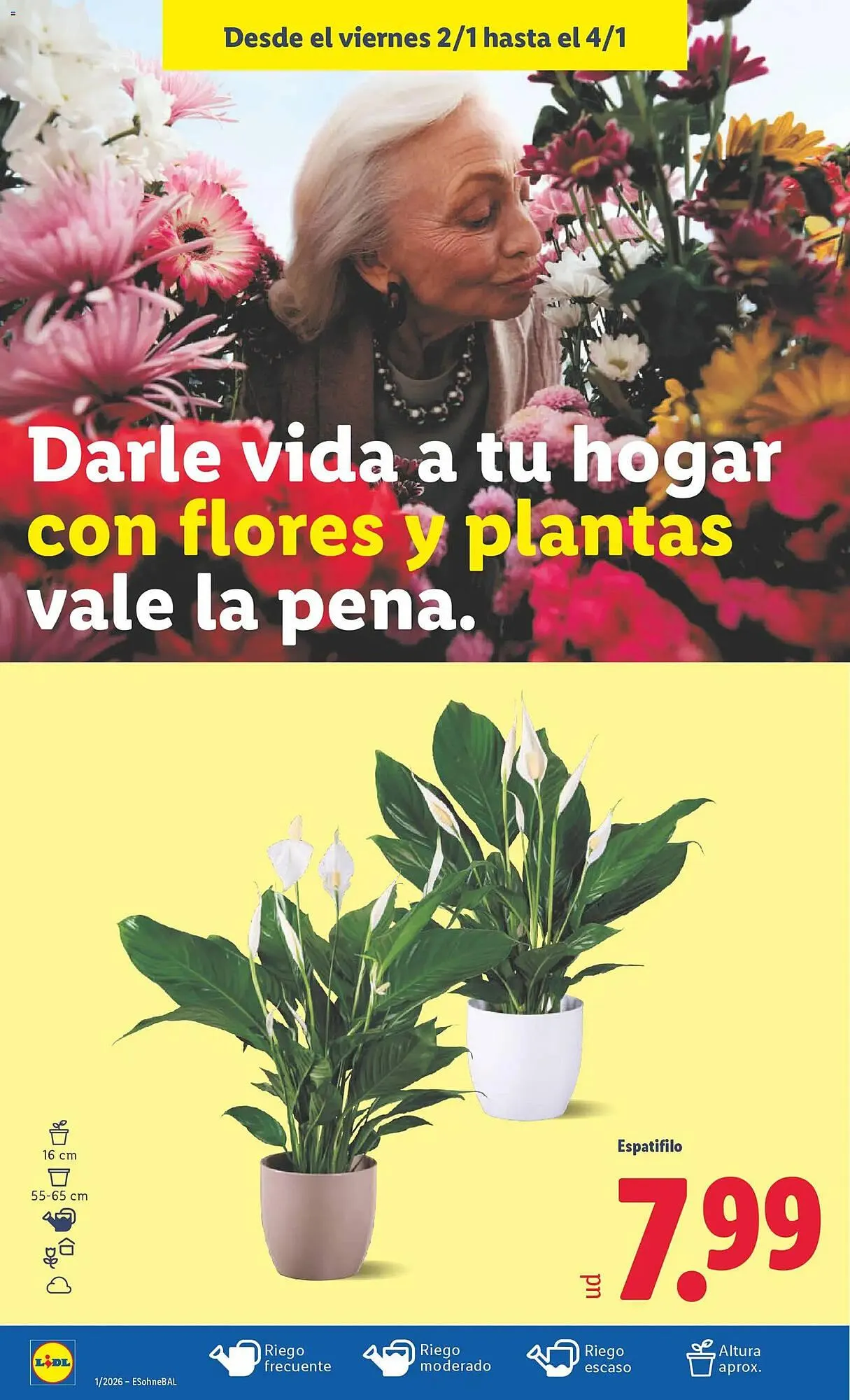 Catálogo de Catálogo Lidl 29 de diciembre al 4 de enero 2026 - Página 32