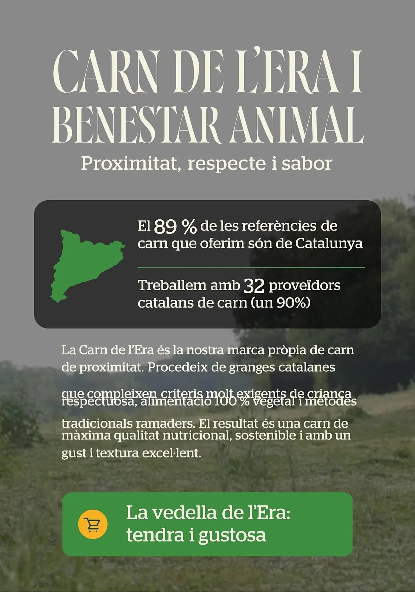 Catálogo de Folleto BonpreuEsclat 30 de enero al 30 de junio 2026 - Página 14