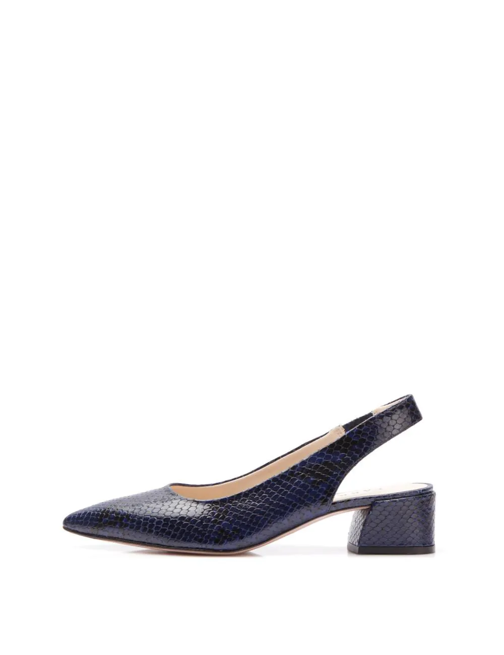 ESCA piel pitón marino