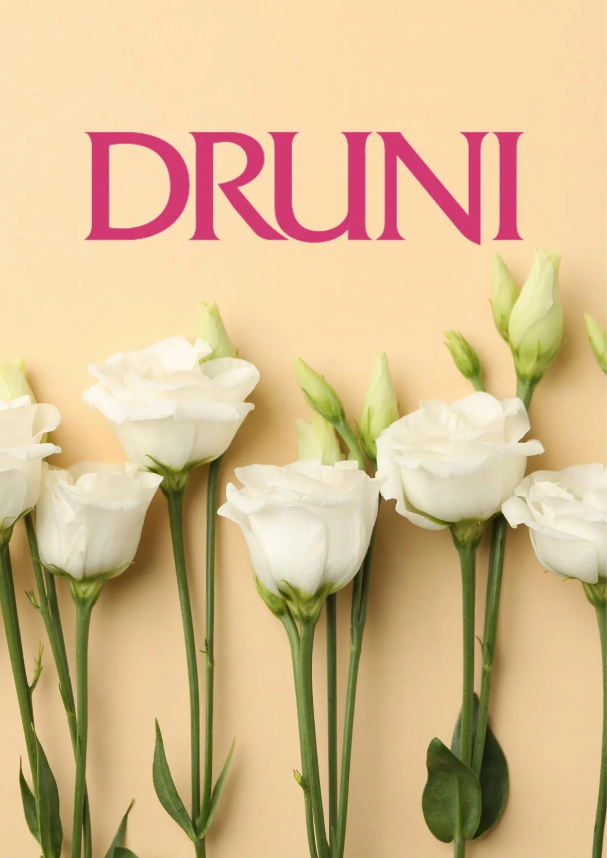 Druni - 1