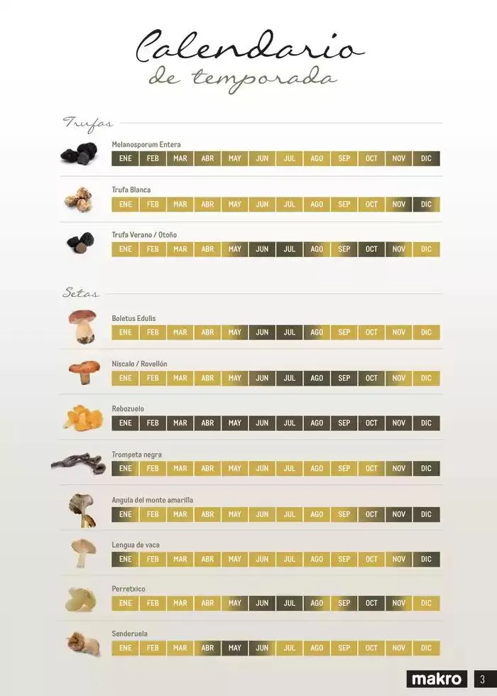 Catálogo de TRUFAS Y SETAS - CANARIAS 4 de marzo al 31 de diciembre 2025 - Página 3