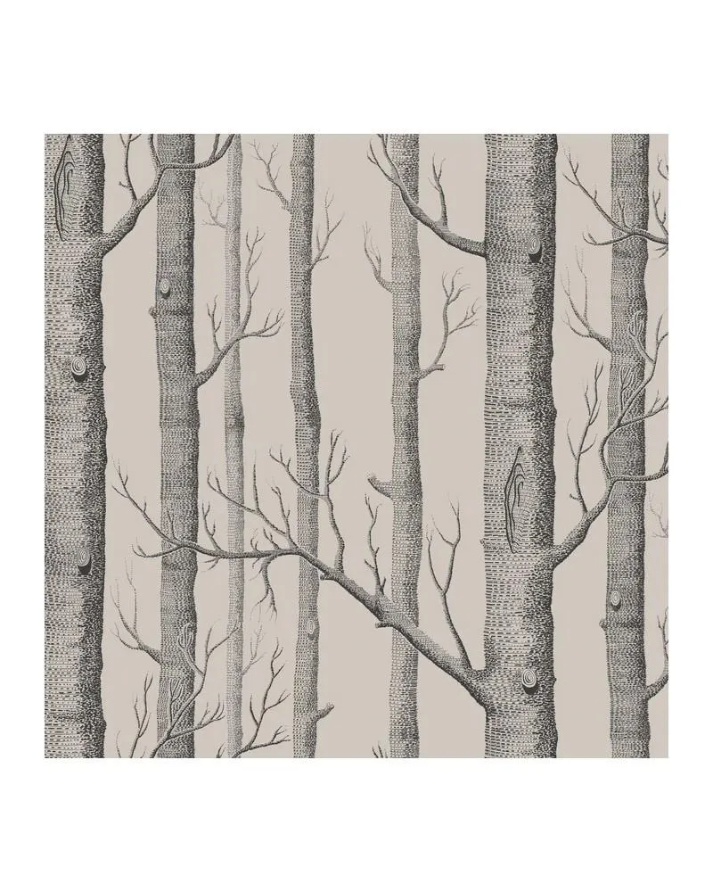 PAPEL PINTADO 112-3009 WOODS