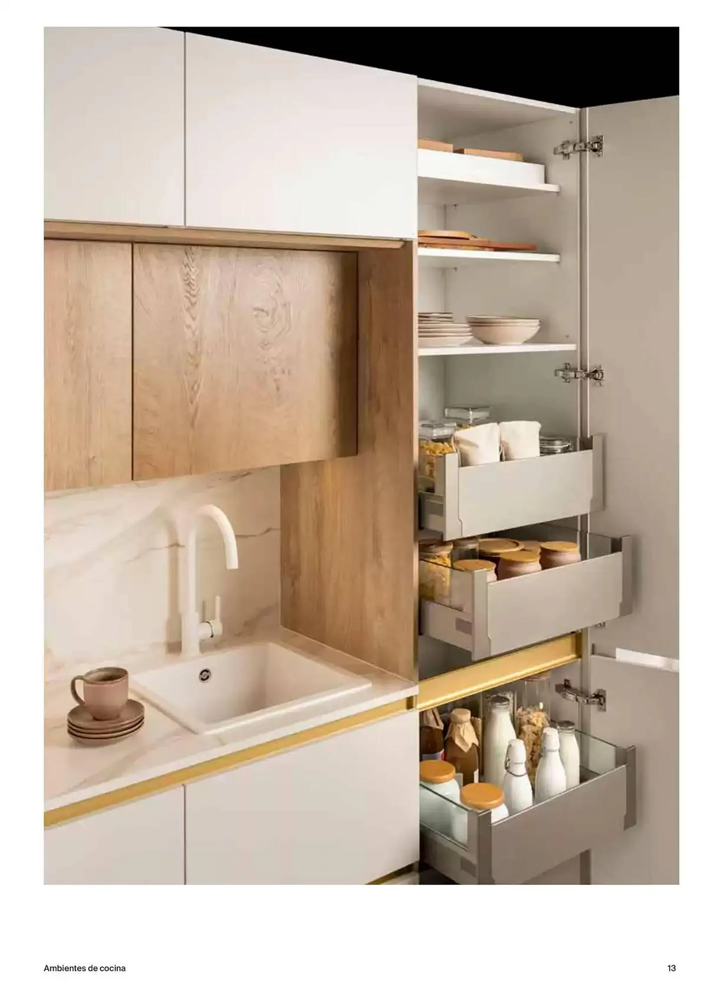 Catálogo de Folleto Roca 9 de enero al 31 de diciembre 2025 - Página 13