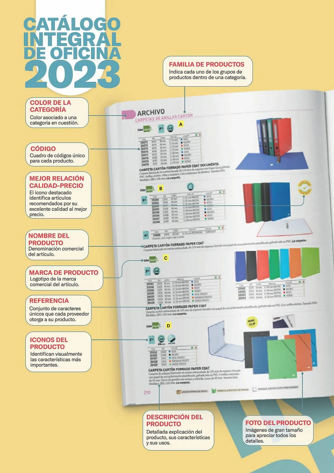 Catálogo de Folleto Carlin 25 de julio al 31 de diciembre 2023 - Página 14