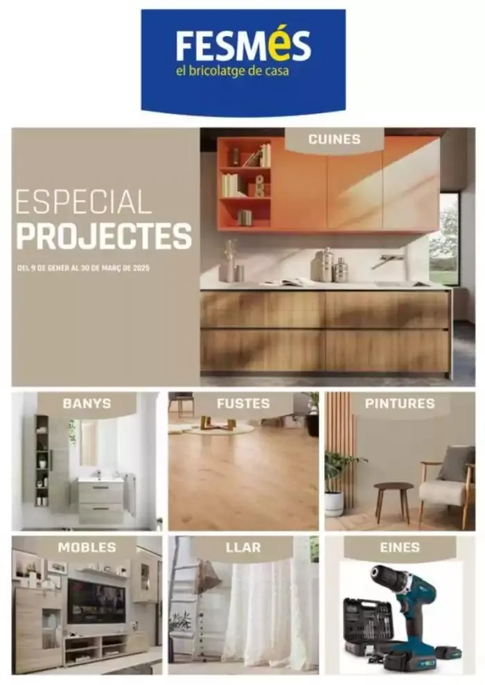 Especial Projectes - 1