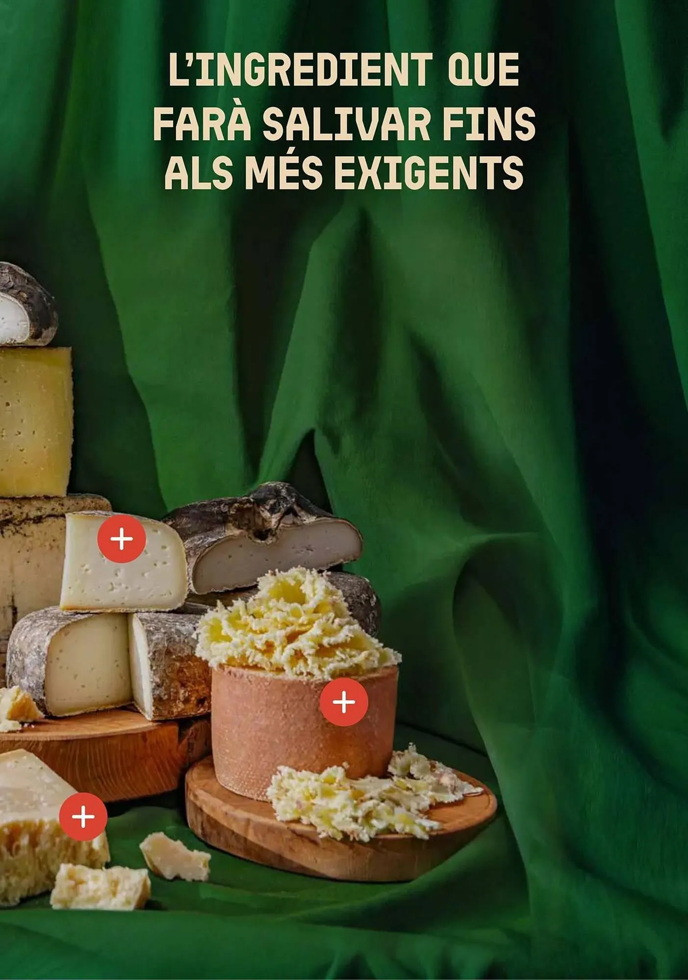 Catálogo de Folleto BonpreuEsclat 3 de diciembre al 31 de diciembre 2025 - Página 13