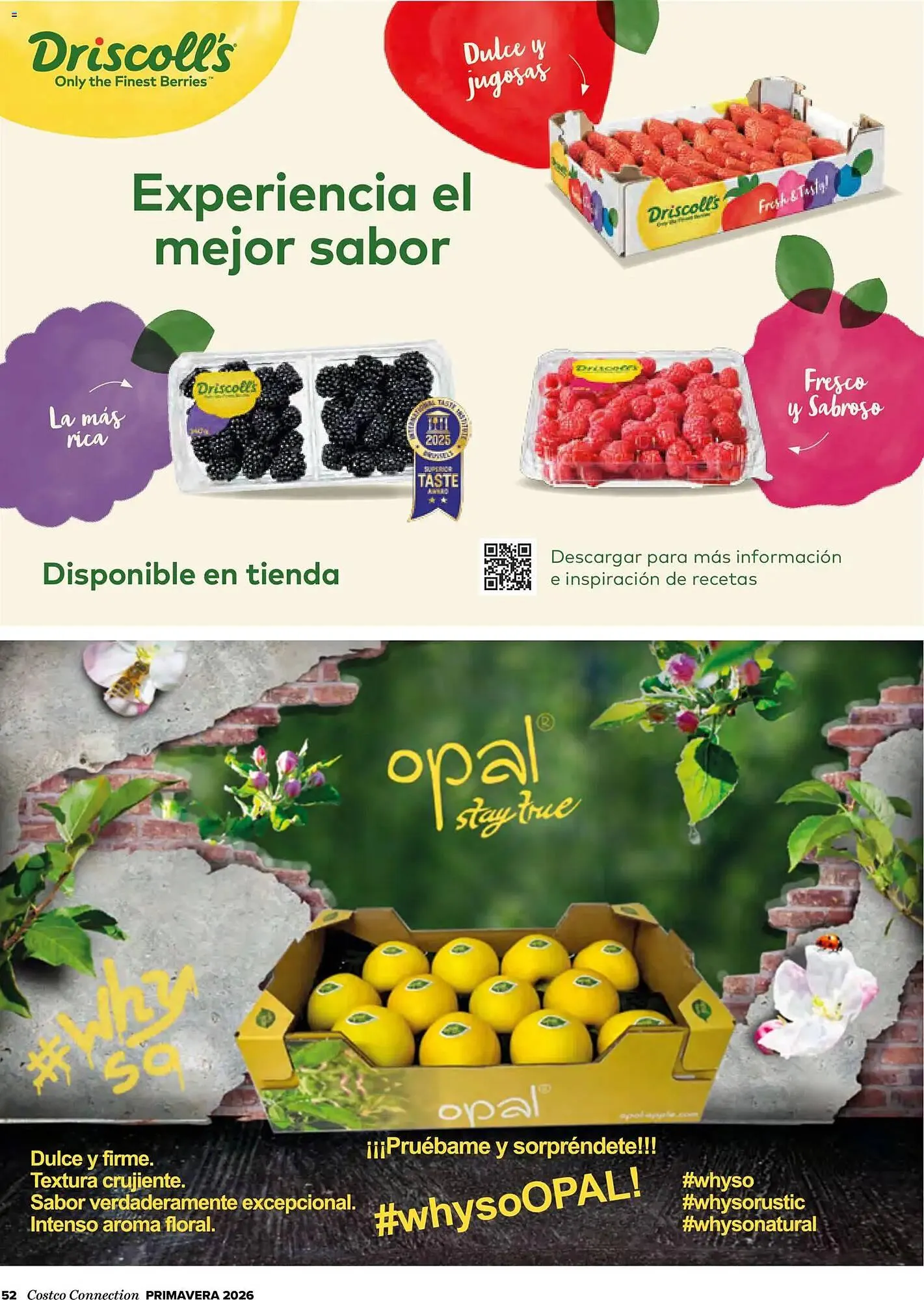 Catálogo de Catálogo Costco 19 de marzo al 31 de mayo 2026 - Página 52