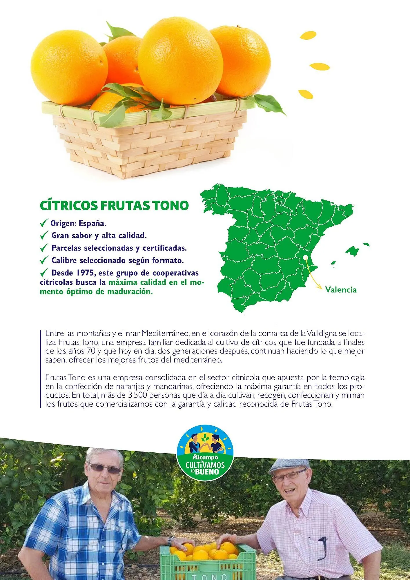 Catálogo de Folleto Alcampo 23 de abril al 31 de diciembre 2025 - Página 22