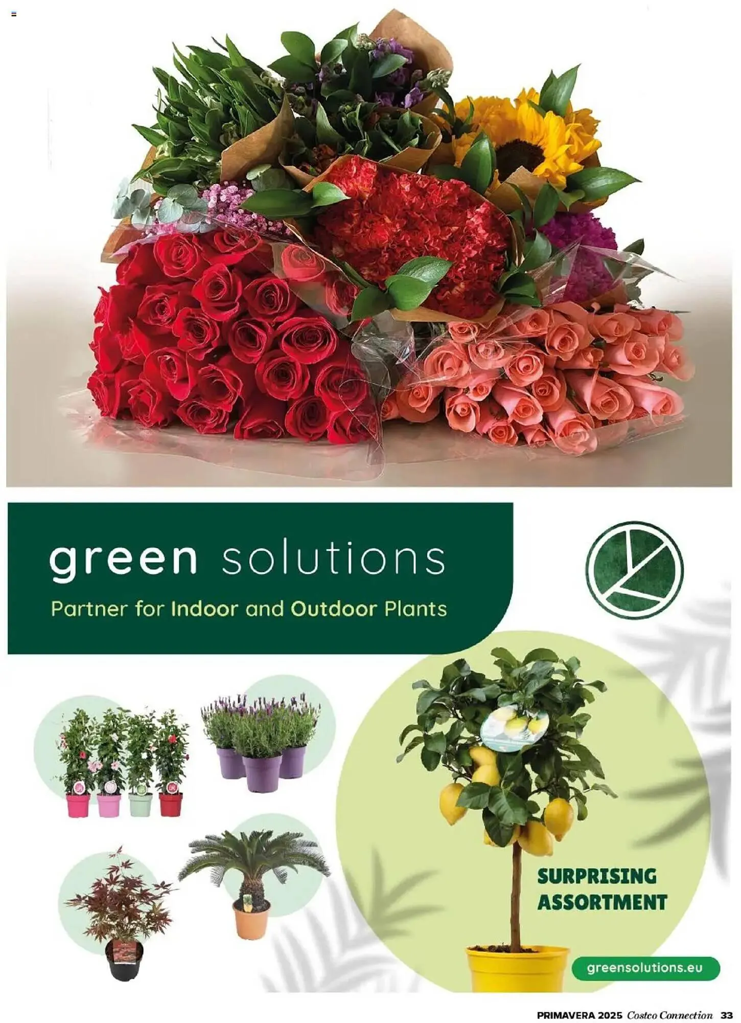 Catálogo de Folleto Costco 8 de abril al 31 de julio 2025 - Página 33