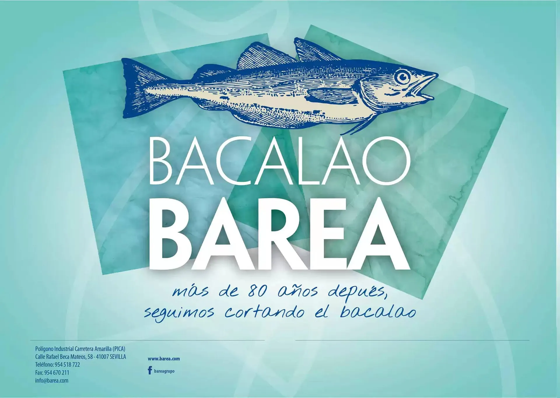 Catálogo de Folleto Cash Barea 14 de febrero al 30 de junio 2025 - Página 2