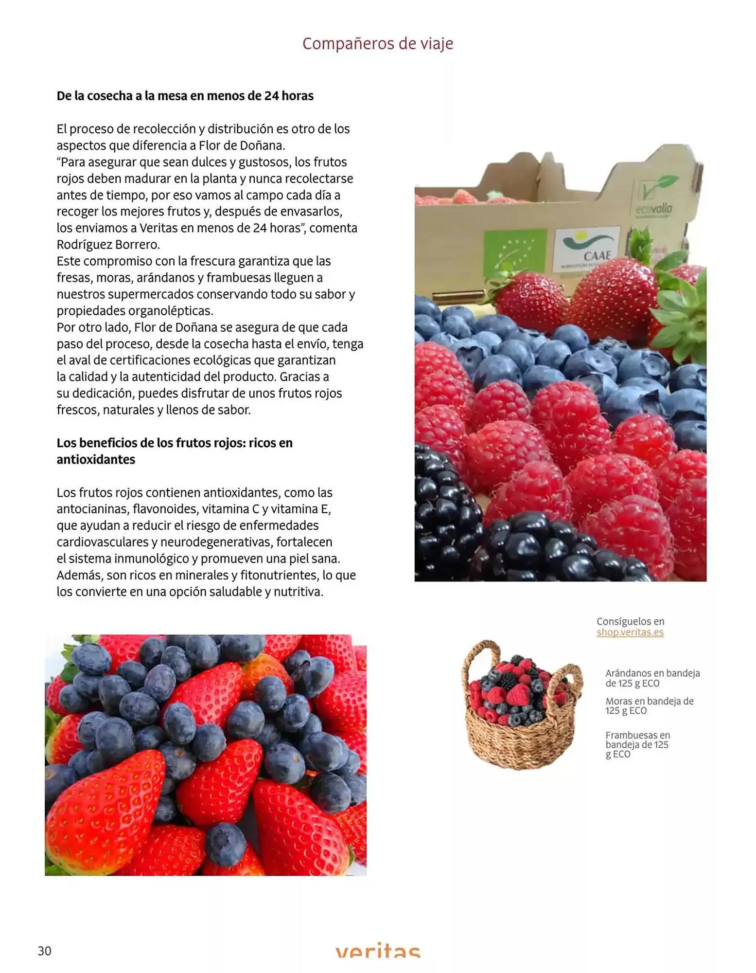 Catálogo de Folleto Veritas 1 de abril al 31 de mayo 2025 - Página 30