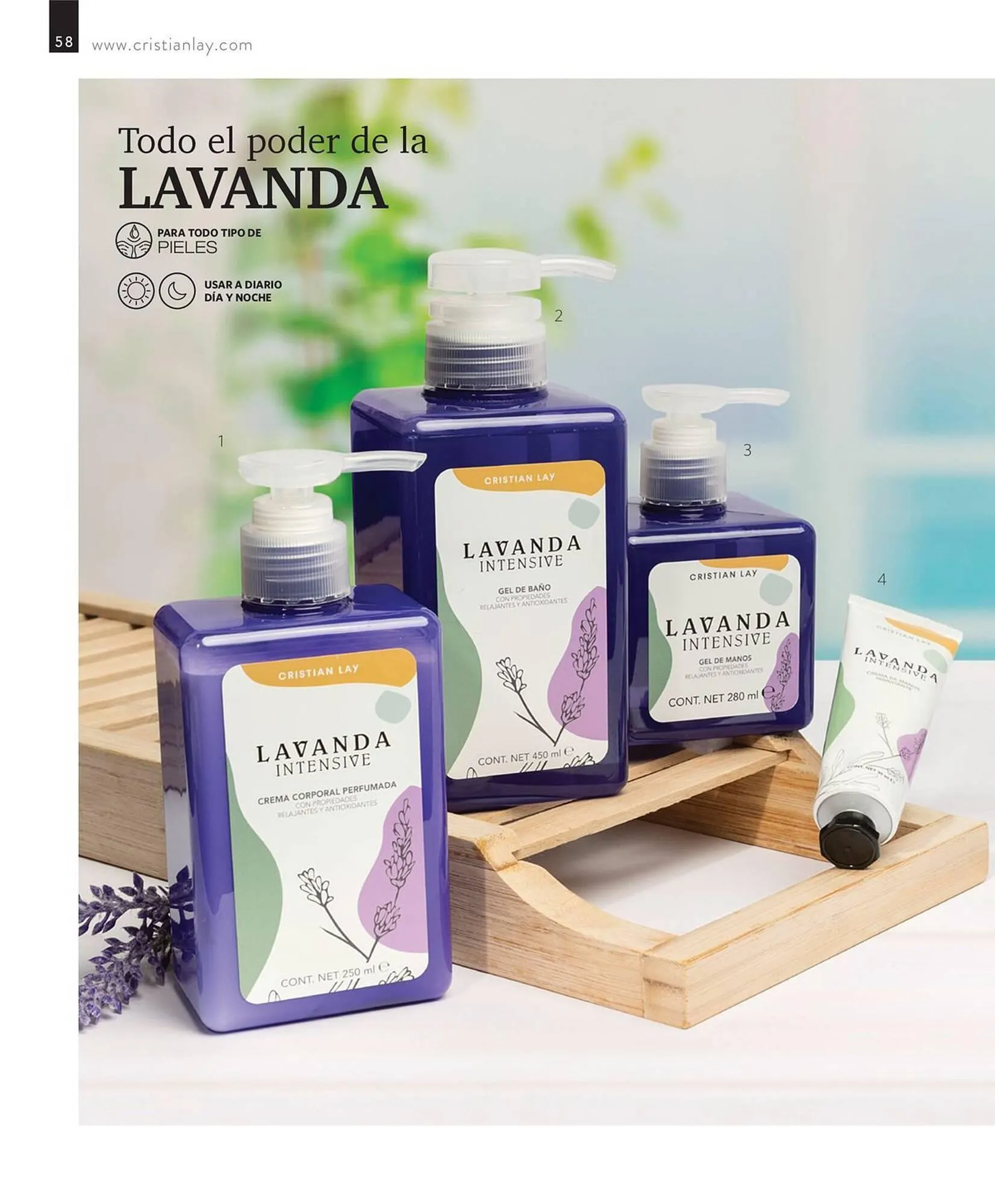 Catálogo de Cristian Lay Folleto 11 de septiembre al 25 de septiembre 2023 - Página 58