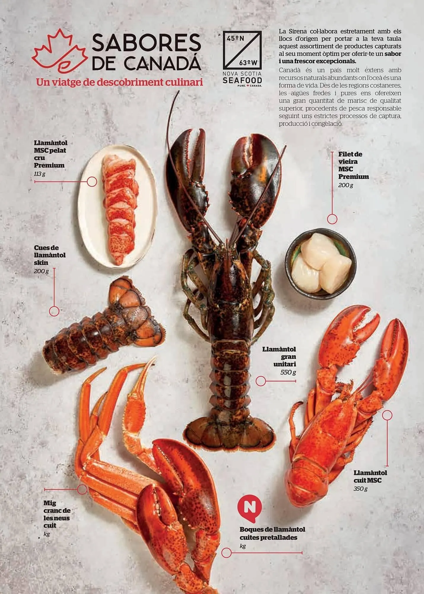 Catálogo de Catálogo La Sirena 13 de noviembre al 31 de diciembre 2025 - Página 11