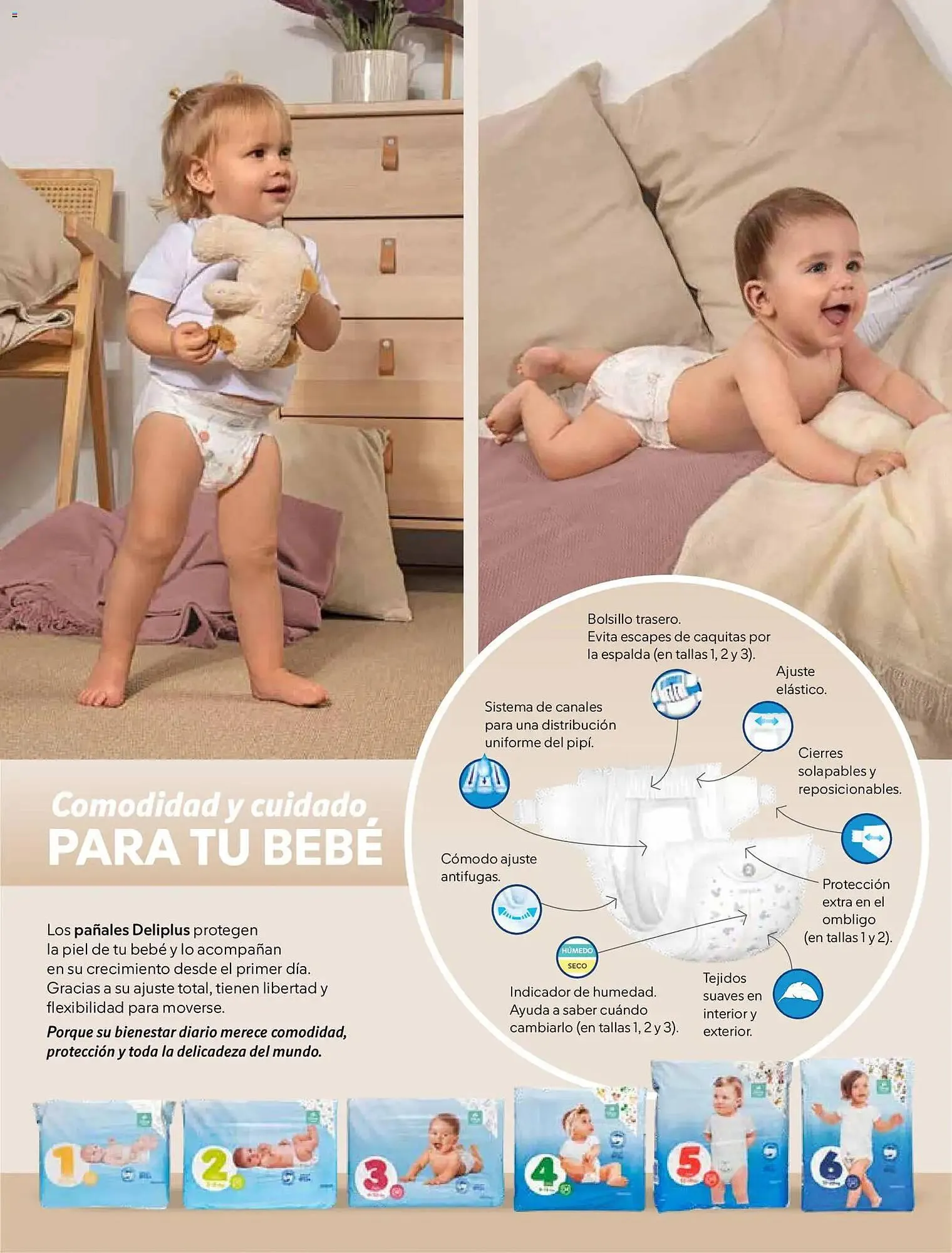 Catálogo de Catálogo Mercadona 1 de febrero al 31 de marzo 2026 - Página 23