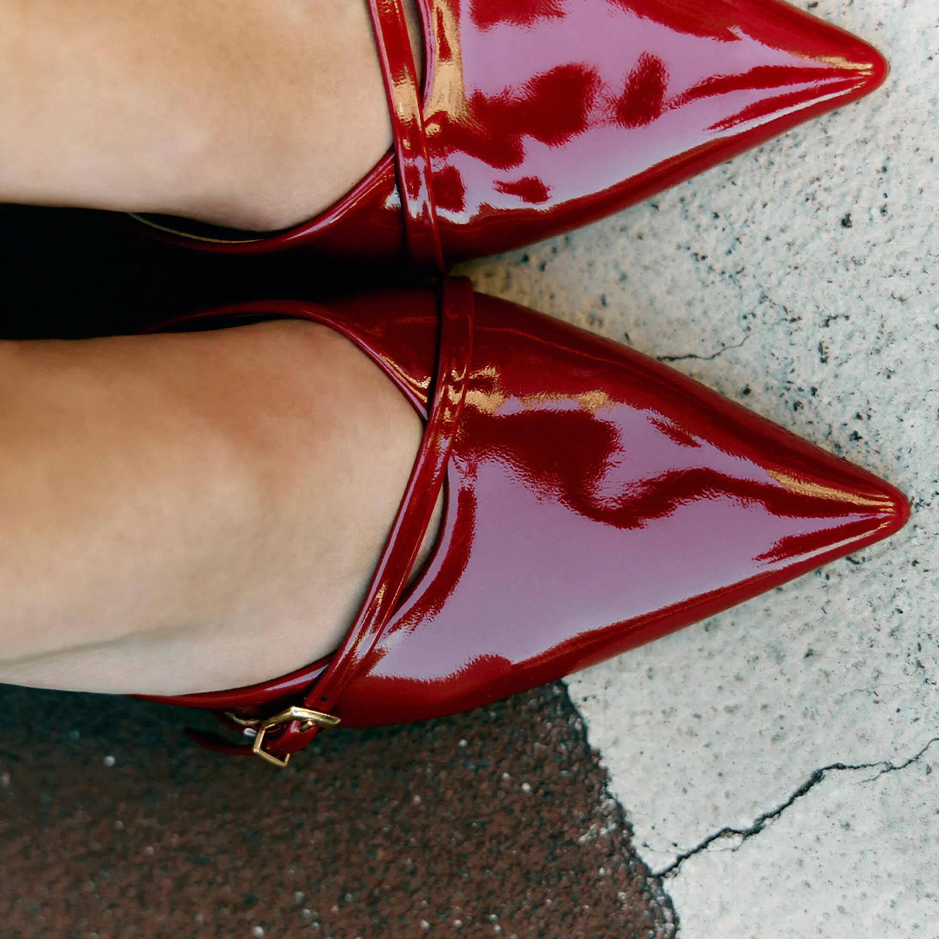 Catálogo de Folleto Terranova 5 de septiembre al 8 de noviembre 2025 - Página 3