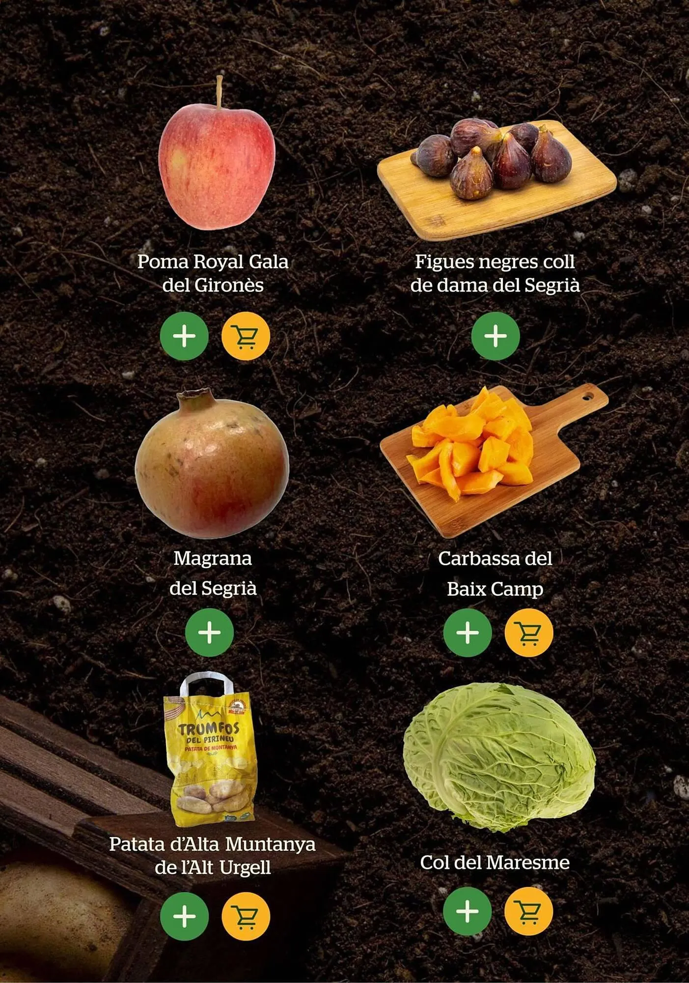 Catálogo de Folleto BonpreuEsclat 30 de enero al 30 de junio 2026 - Página 10