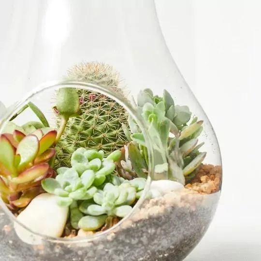 COMPOSICIÓN PERA 31X14CM