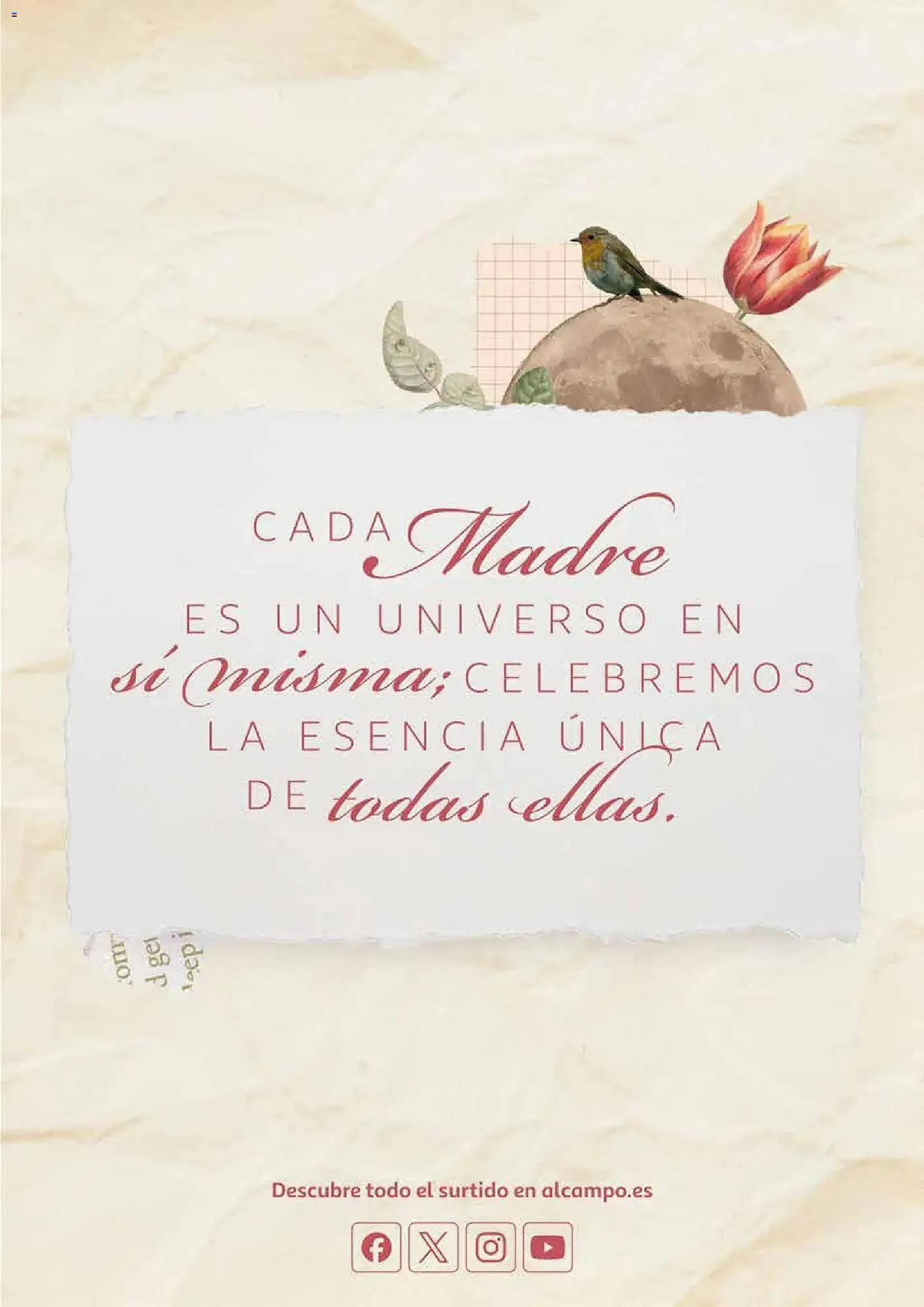 Catálogo de Folleto Alcampo 21 de abril al 3 de mayo 2026 - Página 29