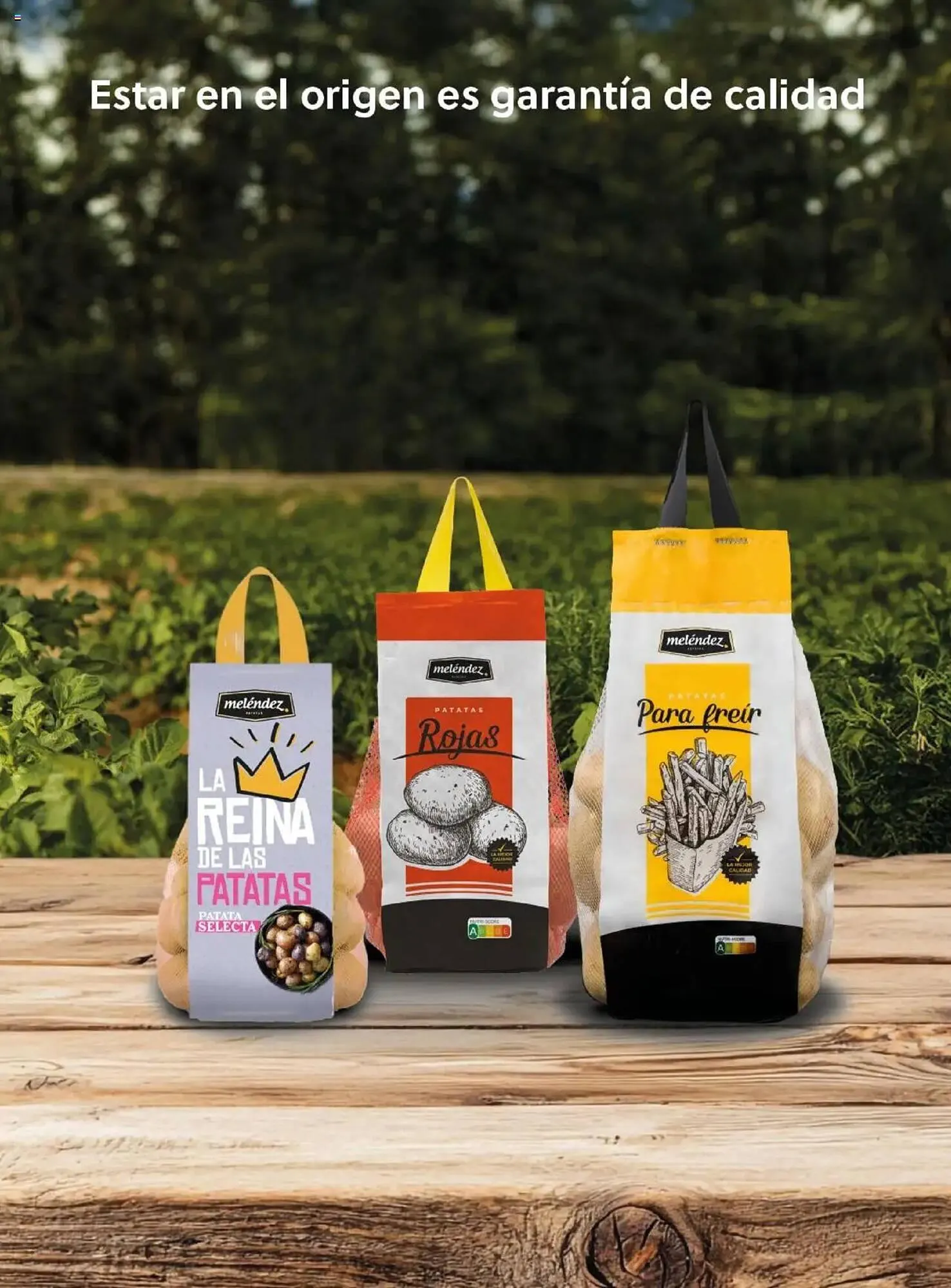 Catálogo de Folleto Costco 8 de abril al 31 de julio 2025 - Página 93