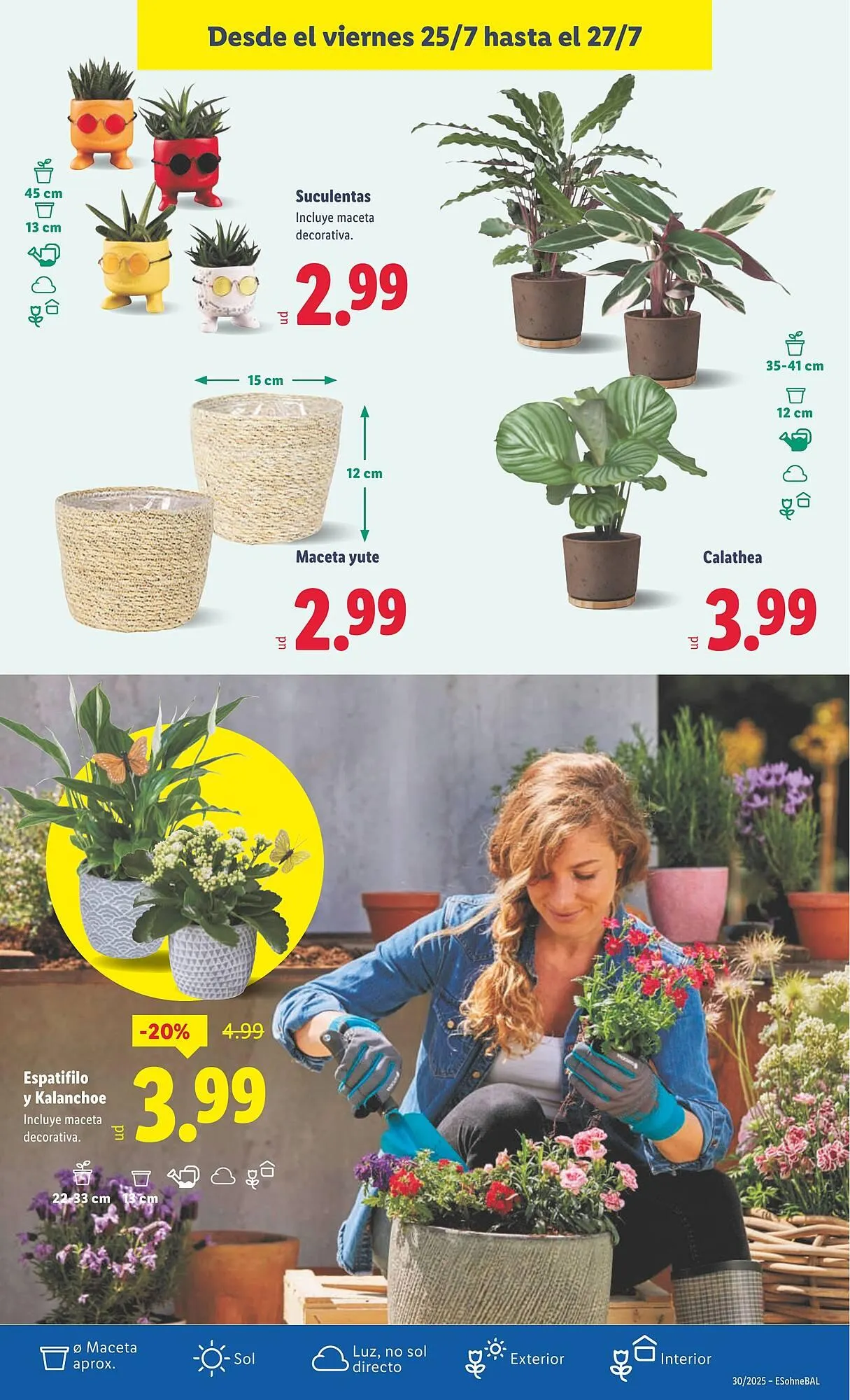 Catálogo de Folleto Lidl 21 de julio al 27 de julio 2025 - Página 33