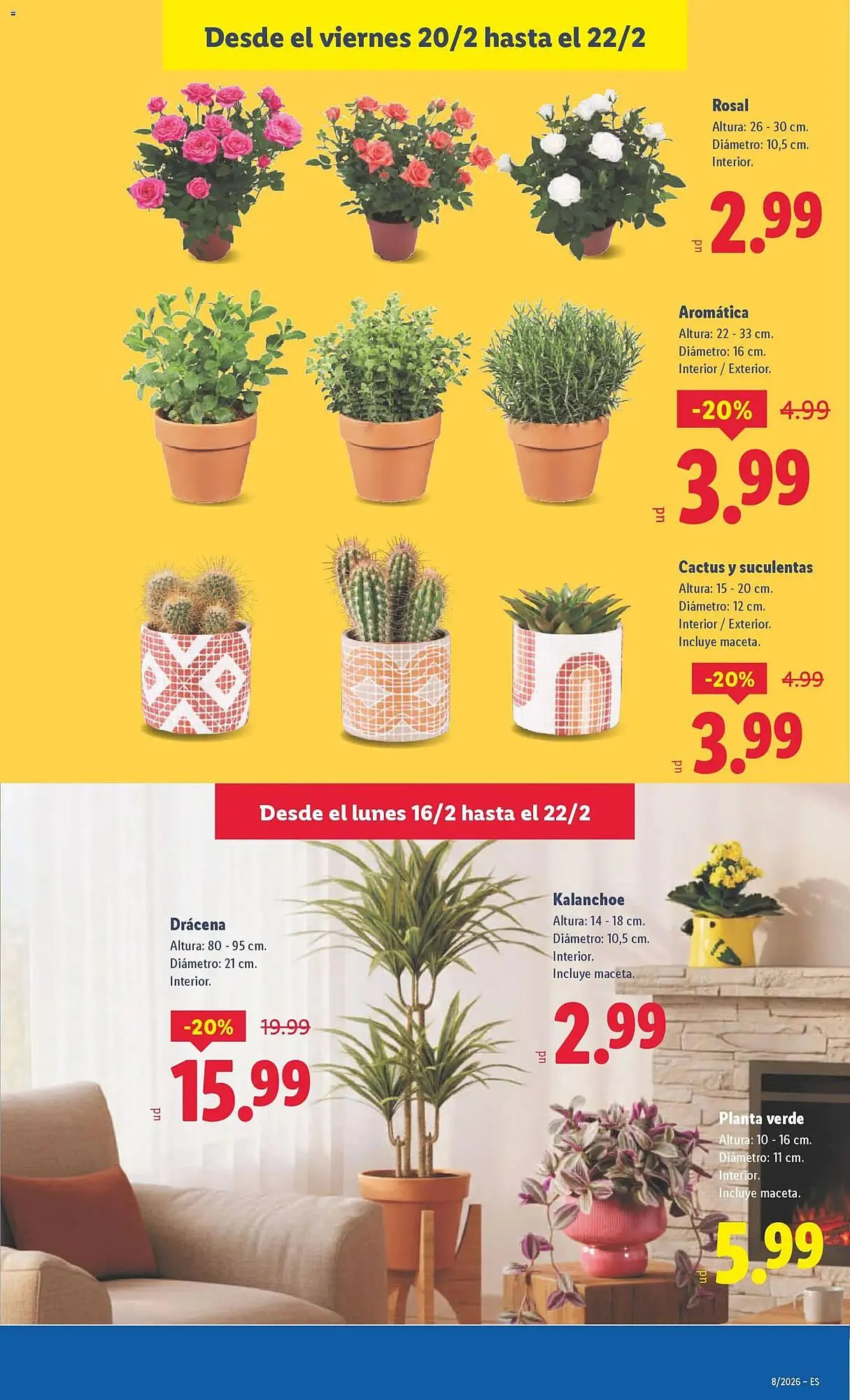 Catálogo de Catálogo Lidl 16 de febrero al 22 de febrero 2026 - Página 41