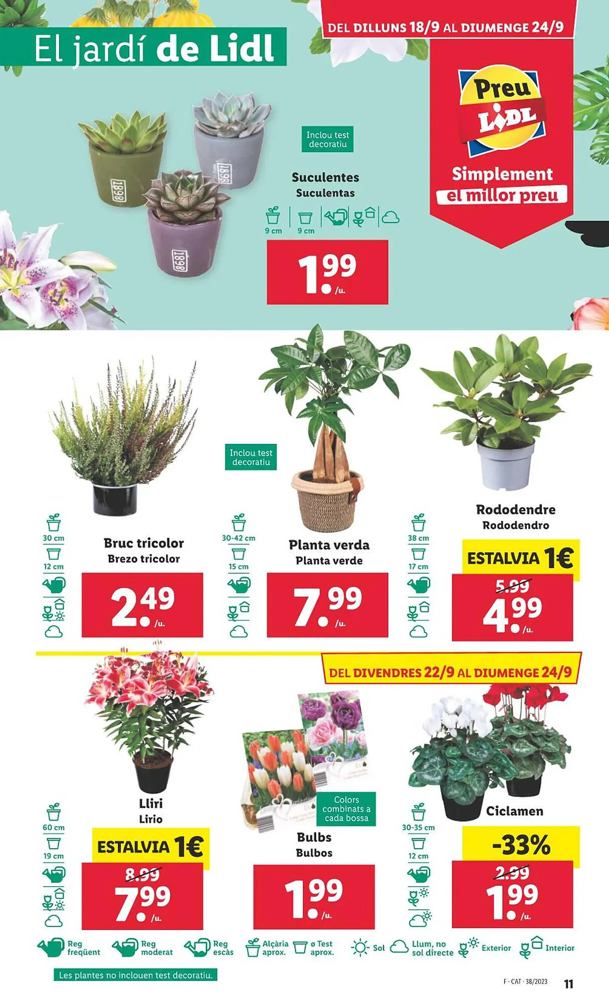 Catálogo de Folleto Lidl 18 de septiembre al 25 de septiembre 2023 - Página 31