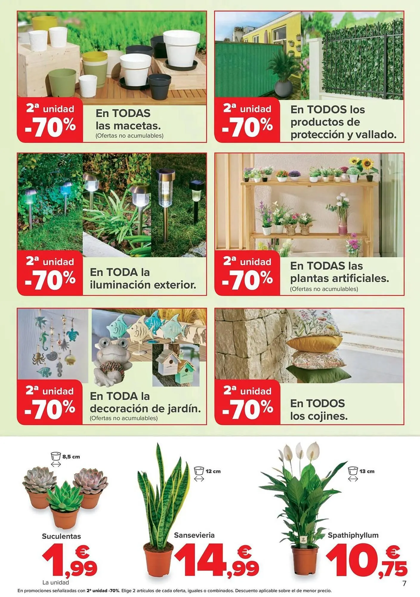 Catálogo de Folleto Carrefour 20 de junio al 9 de julio 2025 - Página 7