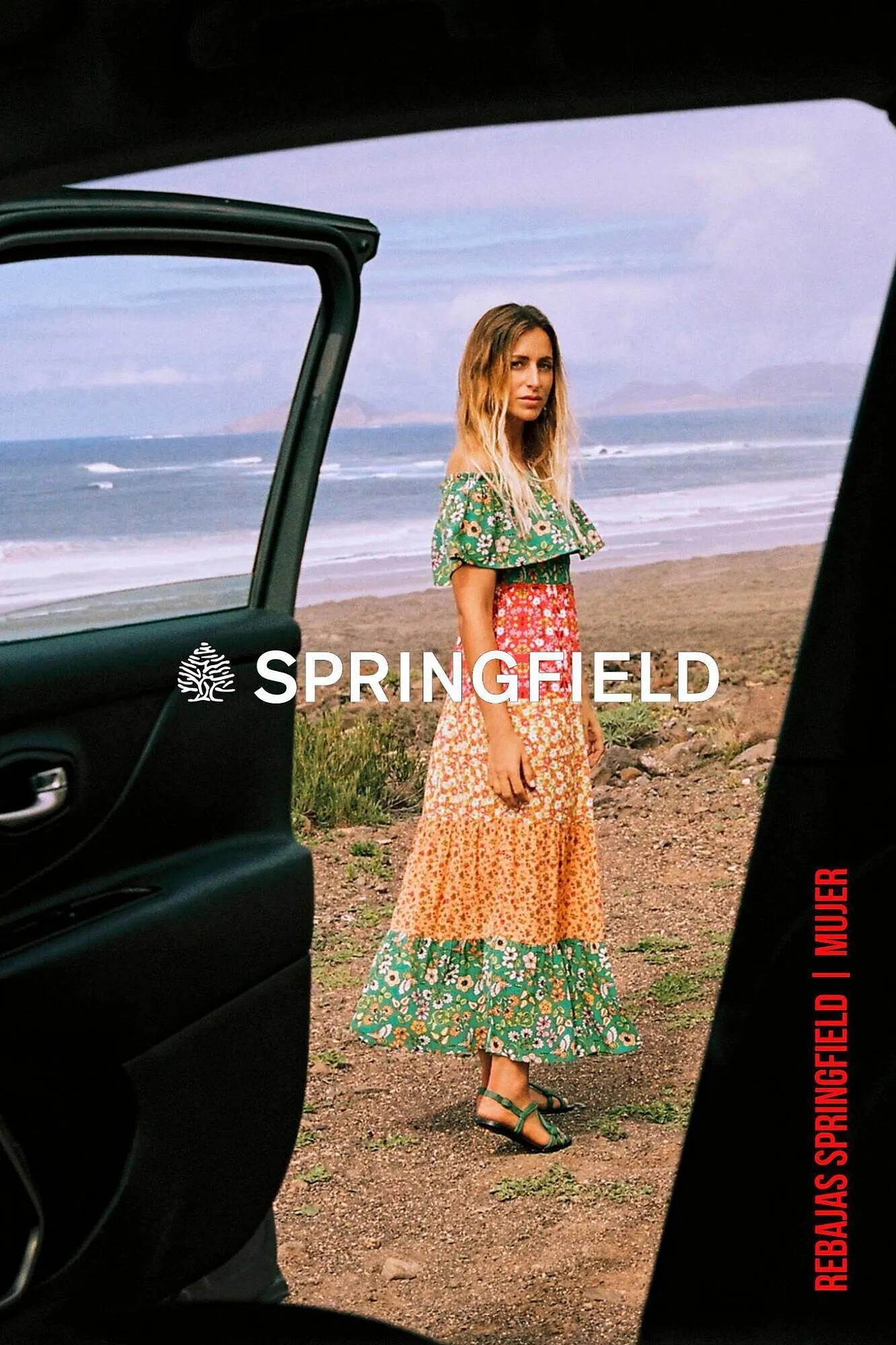 Folleto Springfield - 1