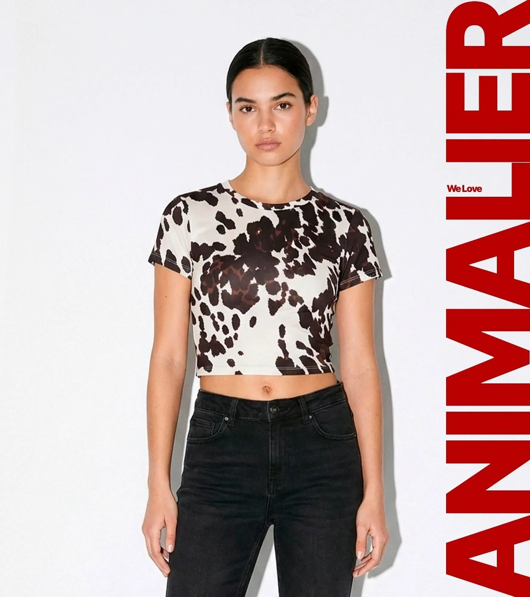 Folleto Terranova - 1