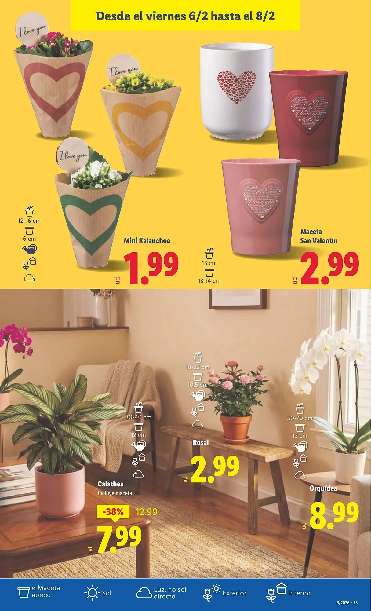 Catálogo de Catálogo Lidl 2 de febrero al 8 de febrero 2026 - Página 37